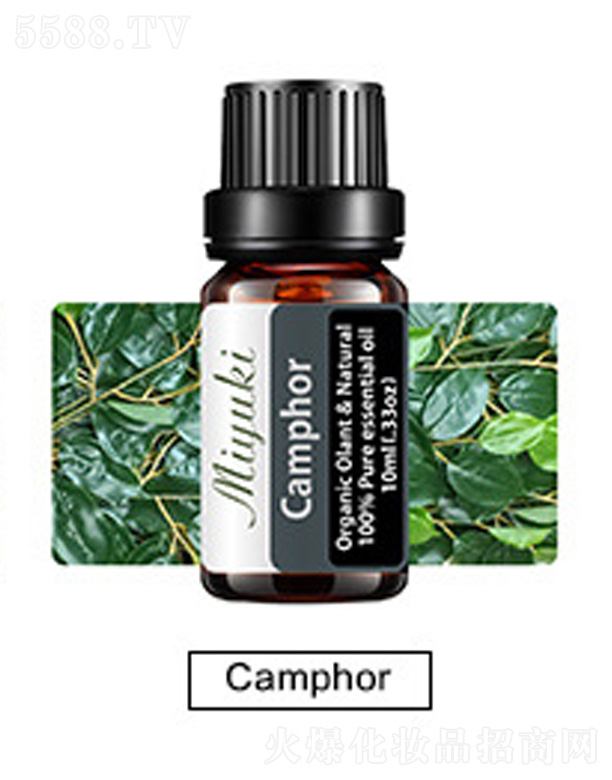 �V���׋I����Ƽ����޹�˾���o(h��)�w��޹��Ħ��-Camphor���X