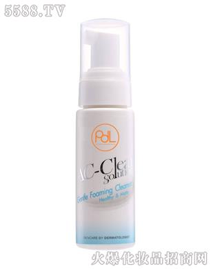 Gentle Foaming Cleanser̩���غ͝�����