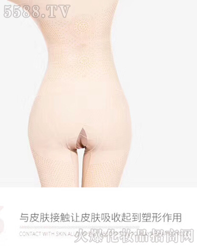 �����������w������������