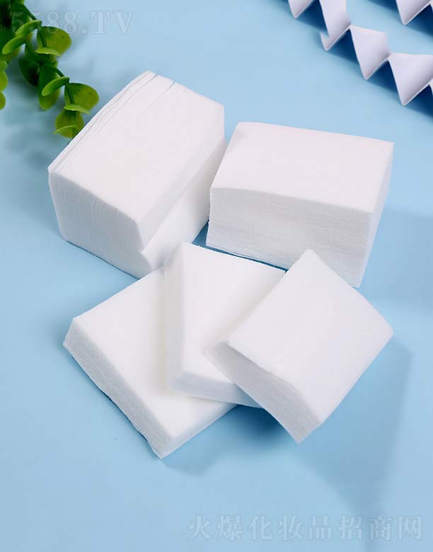 ������Ƭ