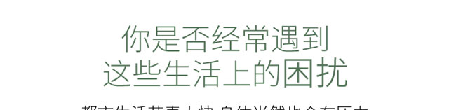 �t����ʮ�Ľ�(j��ng)�j(lu��)�������F��