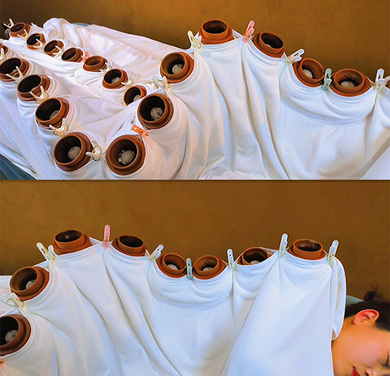 꿰�������ͨ�P(gu��n)�ġ������P(gu��n)��